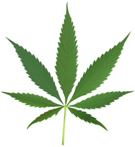 2000px-Cannabis_leaf_2.svg