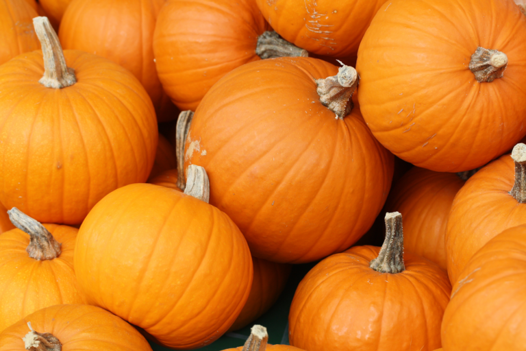 Pumpkins are a fruit, change my mind