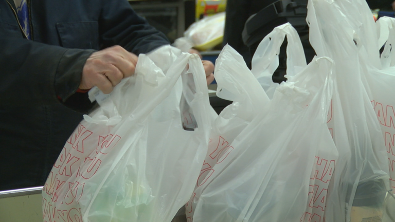 New York State Plastic Bag Ban Takes Effect