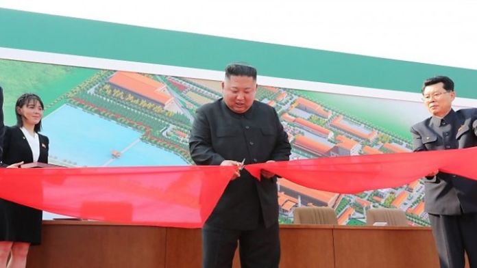 kim