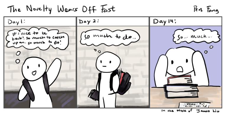 The Novelty Wears Off Fast