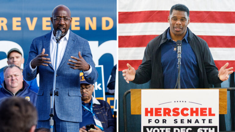 The Implications of the Georgia Senate Runoff