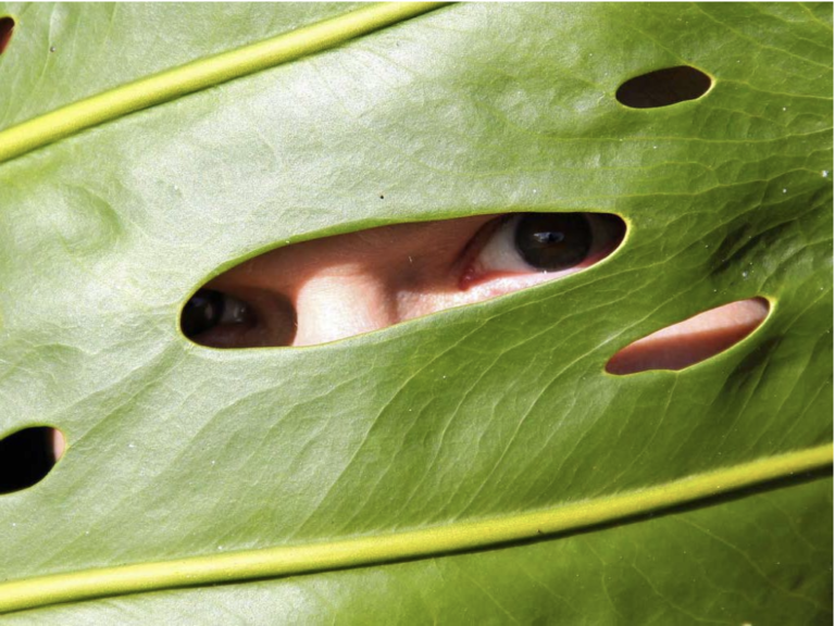 Your Household Plants Could Be Watching You