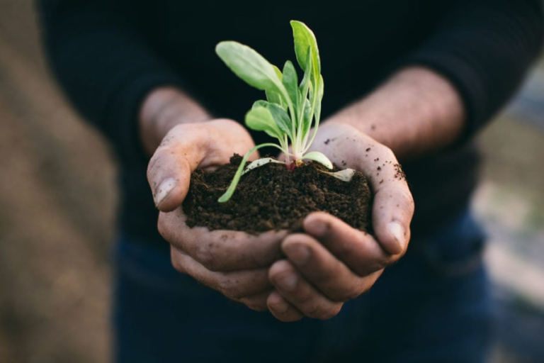 Sustainability is for Everyone: Habits to Develop in 2024