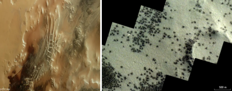 Spiders on Mars: Here’s the Real Story!