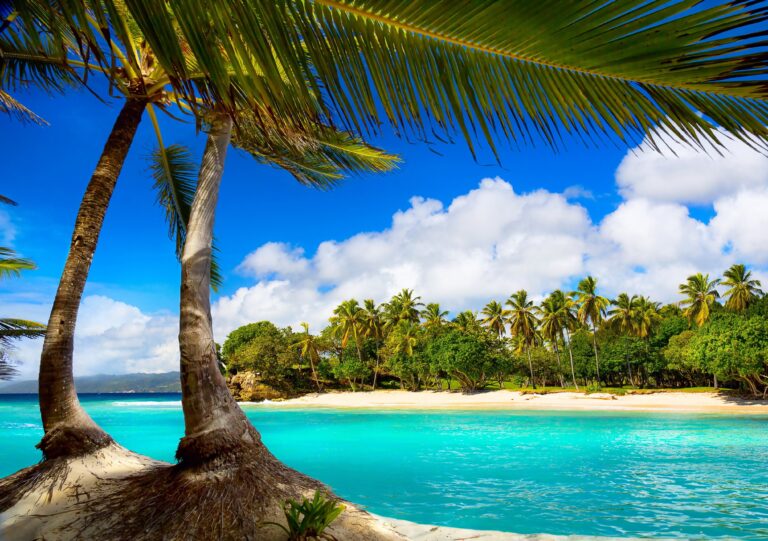 A 2024 Summer Bucket List