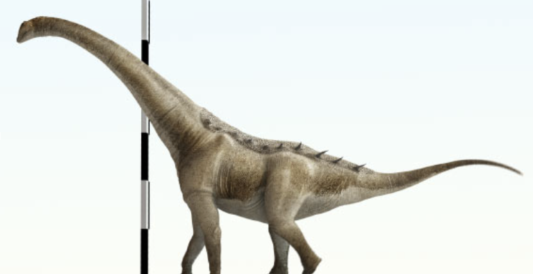 New Species of Titanosaur Found in Spain